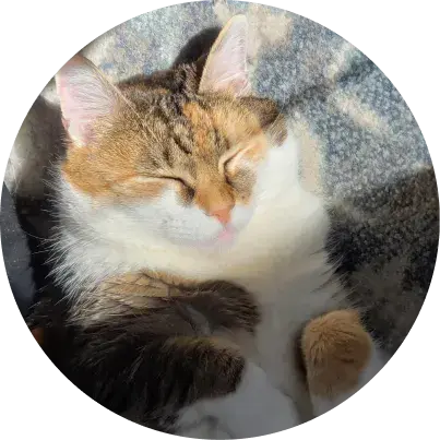 Dory Avatar Image