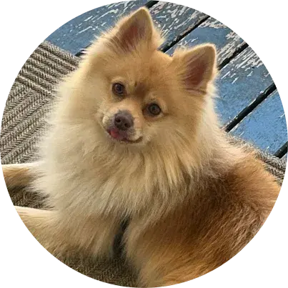 Odin Avatar Image